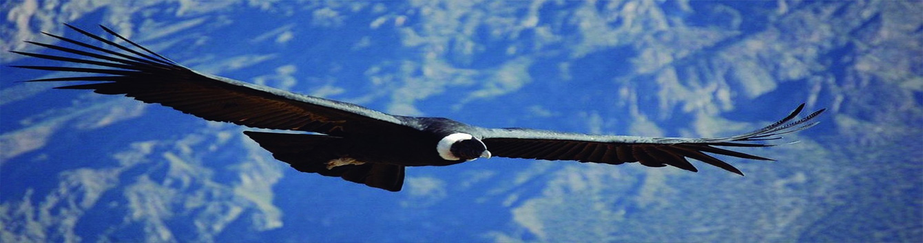 Choquequirao Huanipaca Tour