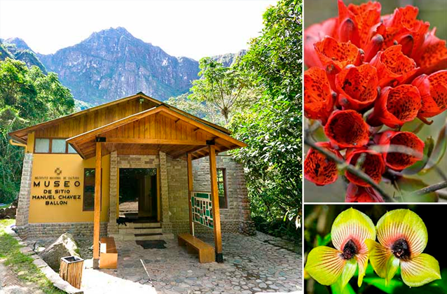 Machu Picchu museum ticket