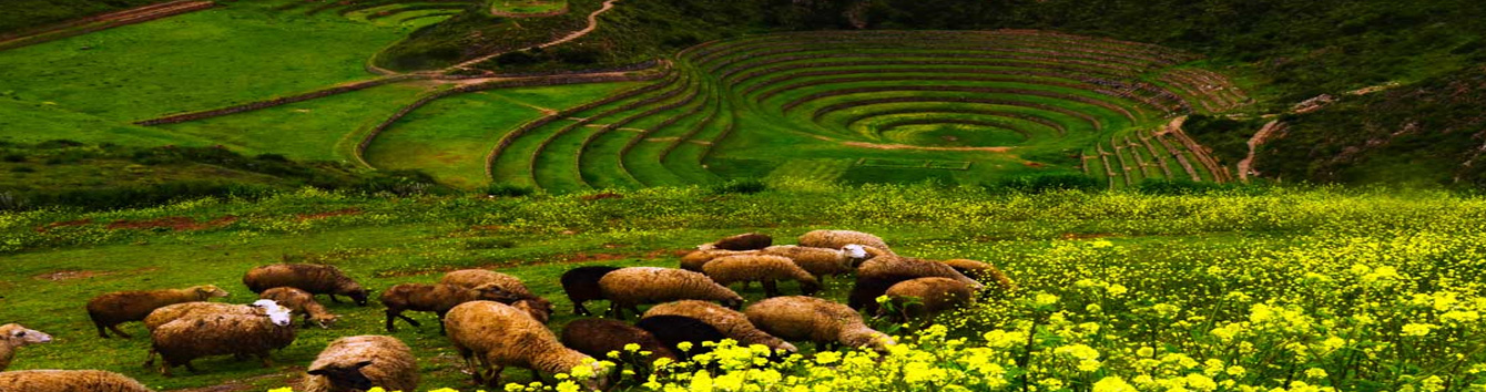 Maras Moray Tour